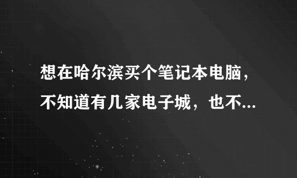 想在哈尔滨买个笔记本电脑，不知道有几家电子城，也不知道哪家不错。请热心朋友推荐下，顺便推荐下戴尔...