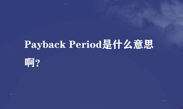 Payback Period是什么意思啊？
