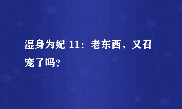 湿身为妃 11：老东西，又召宠了吗？