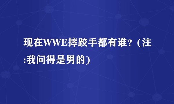 现在WWE摔跤手都有谁？(注:我问得是男的)