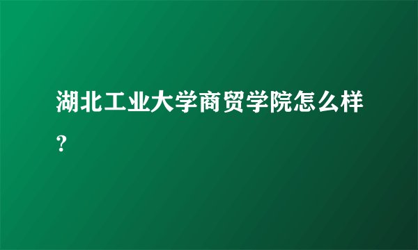湖北工业大学商贸学院怎么样?
