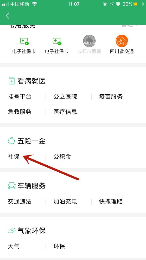 如何查询泰安市养老保险个人账户查询