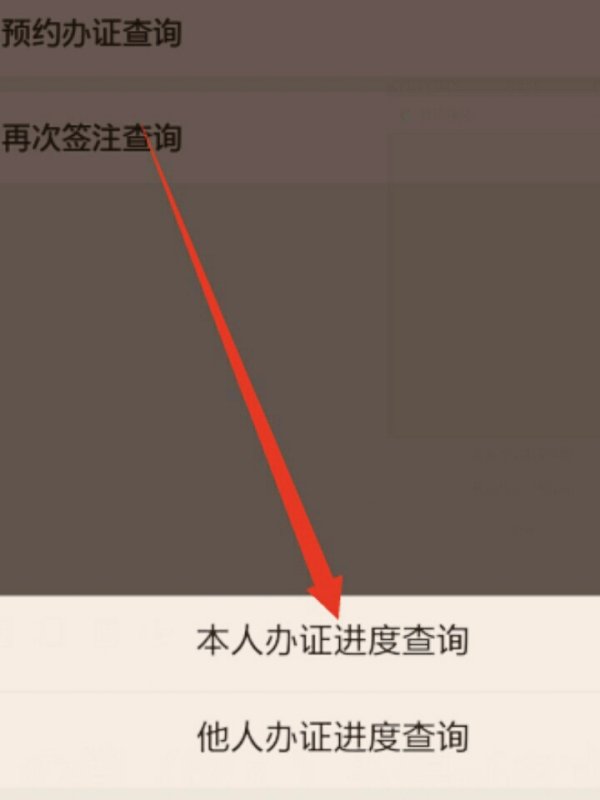 广东省公安厅出入境政务服务网怎么查询办理进度。。。要详细。。