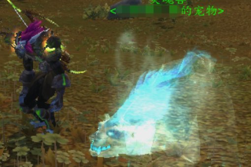 魔兽世界灰熊丘陵大脚在哪刷具体位置帮忙圈出来！