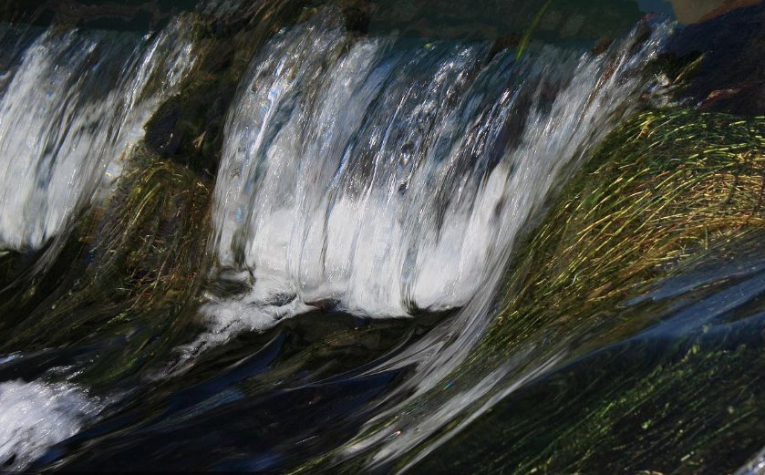 水香是什么意思