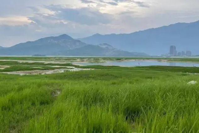 受连续高温影响，鄱阳湖河床变草原，当地人开车飞驰，这样真的好吗？