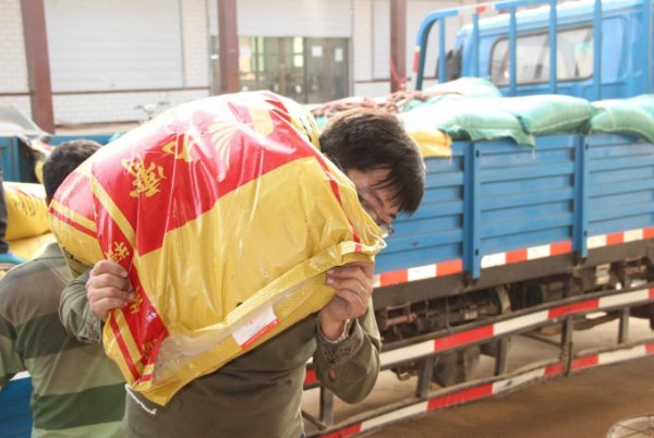 在你穷得只剩下一百元钱的时候，你最想干的是啥？