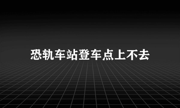 恐轨车站登车点上不去