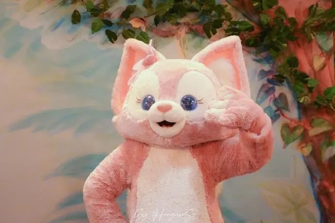 扮演玲娜贝儿的月薪6000元,你觉得这个工资是高了还是低了?