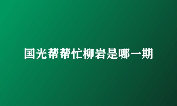国光帮帮忙柳岩是哪一期
