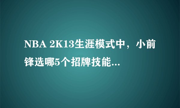 NBA 2K13生涯模式中，小前锋选哪5个招牌技能比较好呀？