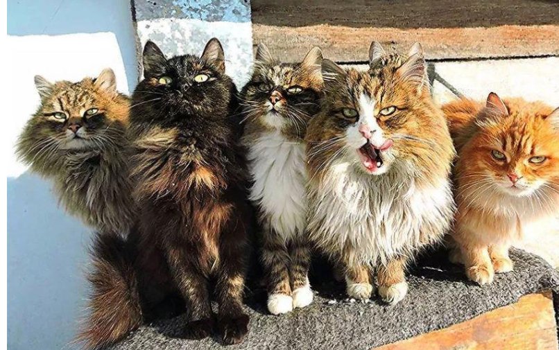 求霸气群名，能吸引人的 多多益善