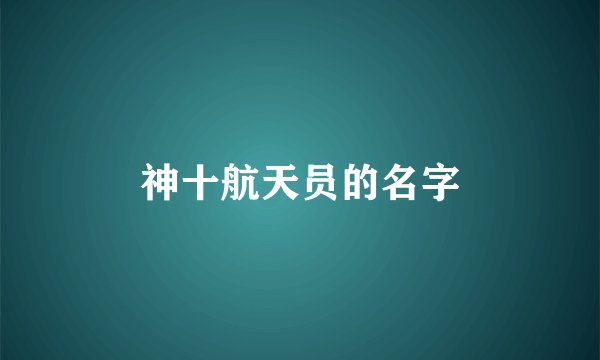 神十航天员的名字