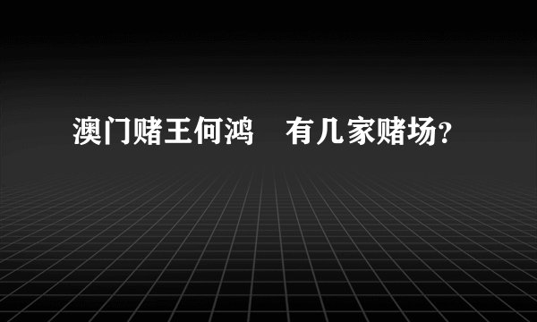 澳门赌王何鸿燊有几家赌场？