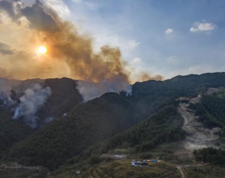 重庆山火后灭火器堆成“小山丘”!这一座座“小山丘”见证着了什么?