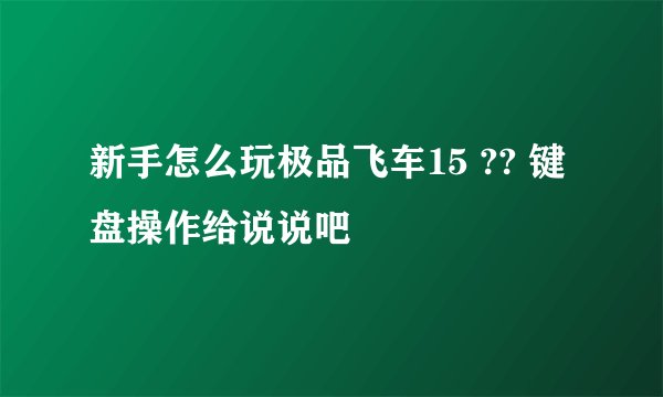 新手怎么玩极品飞车15 ?? 键盘操作给说说吧