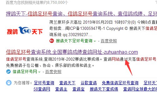 如何查信鸽脚环号码？