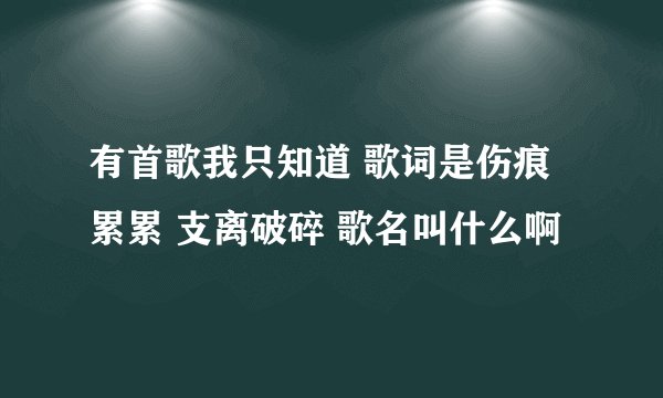 有首歌我只知道 歌词是伤痕累累 支离破碎 歌名叫什么啊