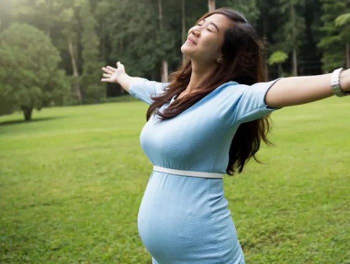 准妈妈是什么意思