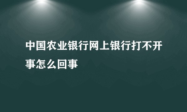 中国农业银行网上银行打不开事怎么回事