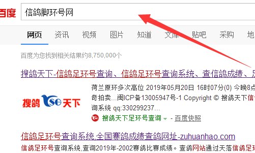 如何查信鸽脚环号码？