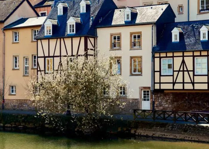 高温灾难笼罩欧洲，西欧国家是如何应对高温天气的？