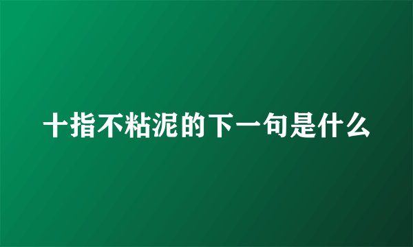 十指不粘泥的下一句是什么