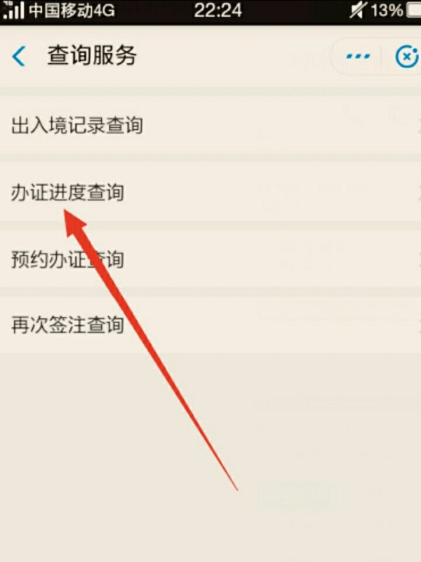 广东省公安厅出入境政务服务网怎么查询办理进度。。。要详细。。
