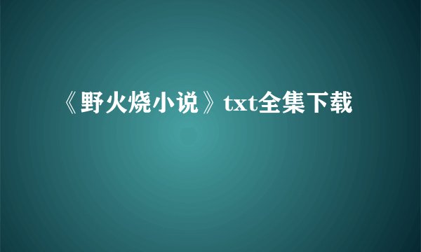 《野火烧小说》txt全集下载
