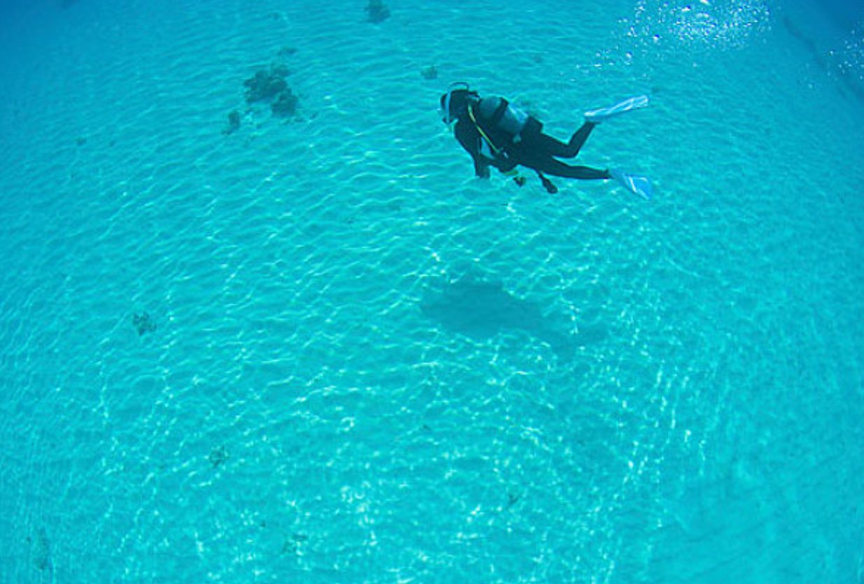 上海哪里有玩蹦极，潜水的地方？