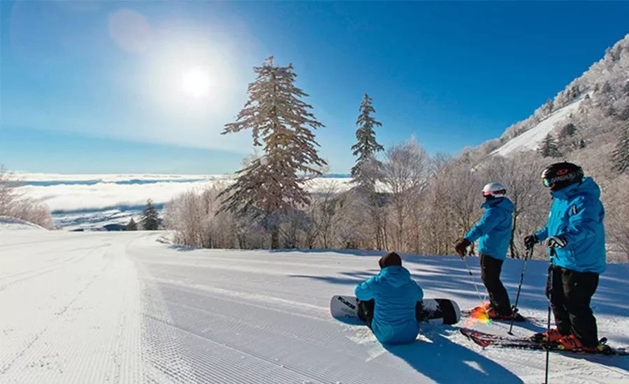 商业鬼才，东北大哥卖雪给南方人，他为何会有这个想法？