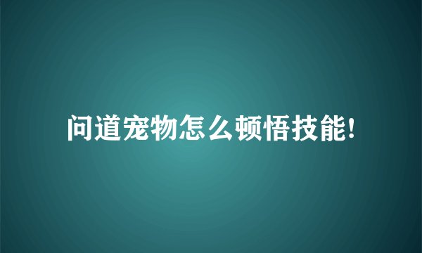 问道宠物怎么顿悟技能!