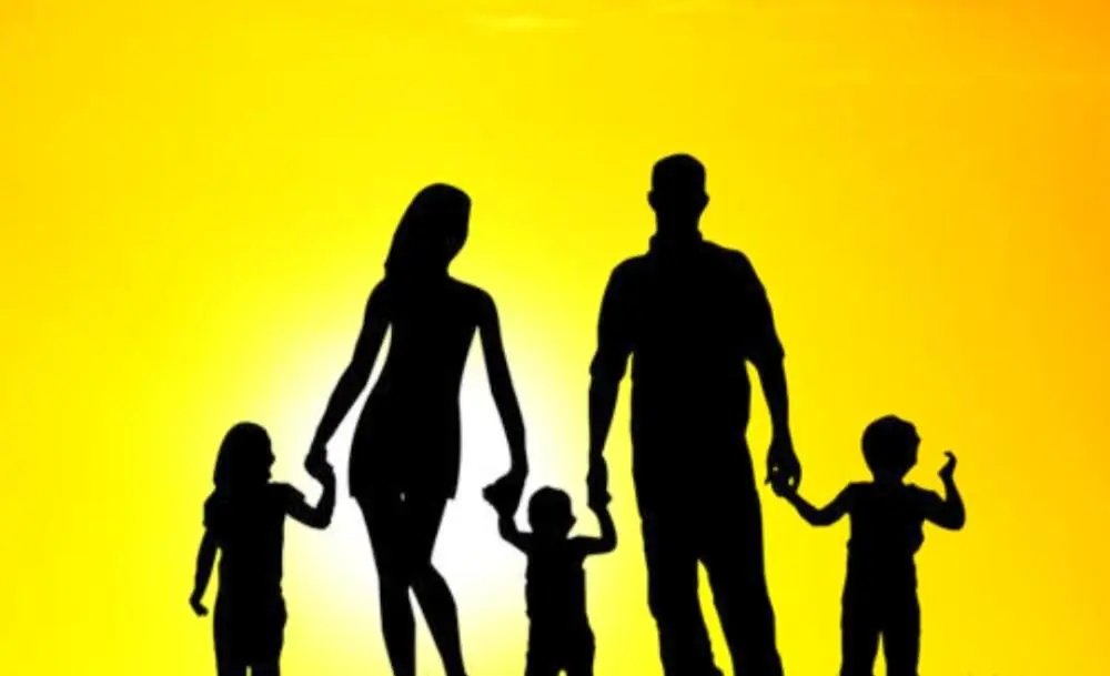 张雪峰提议三胎家庭免学费,你如何看待这一提议?