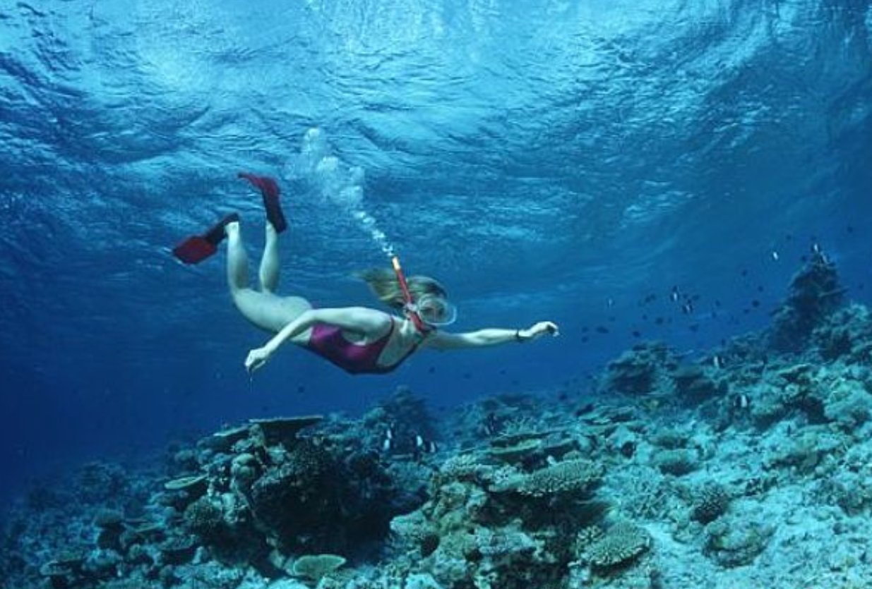 上海哪里有玩蹦极,潜水的地方?