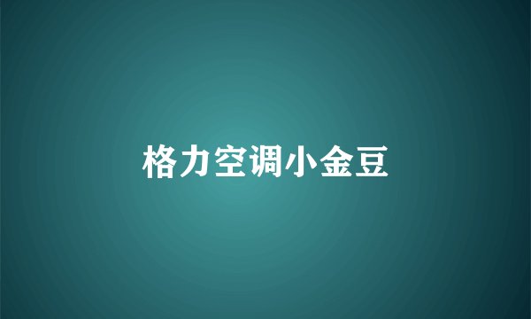 格力空调小金豆