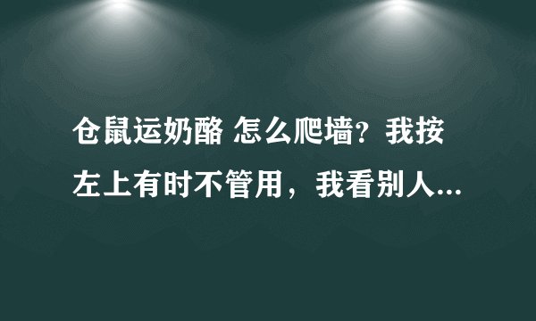 仓鼠运奶酪 怎么爬墙？我按左上有时不管用，我看别人说上左下右循环，不行啊！