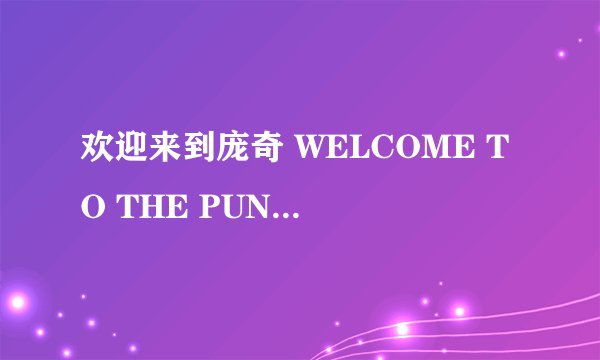 欢迎来到庞奇 WELCOME TO THE PUNCH怎么样