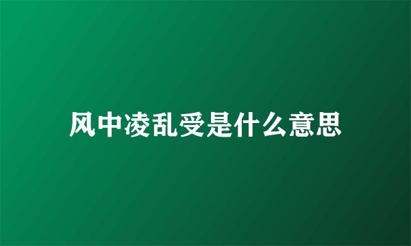 风中凌乱受是什么意思