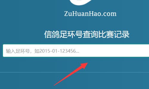 如何查信鸽脚环号码？