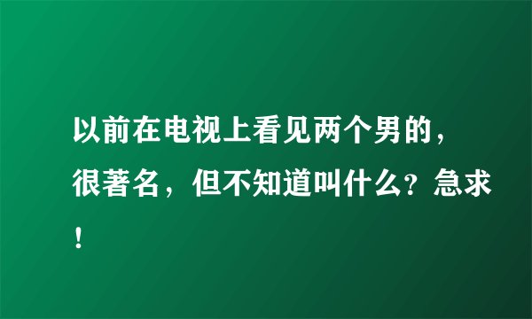 以前在电视上看见两个男的，很著名，但不知道叫什么？急求！