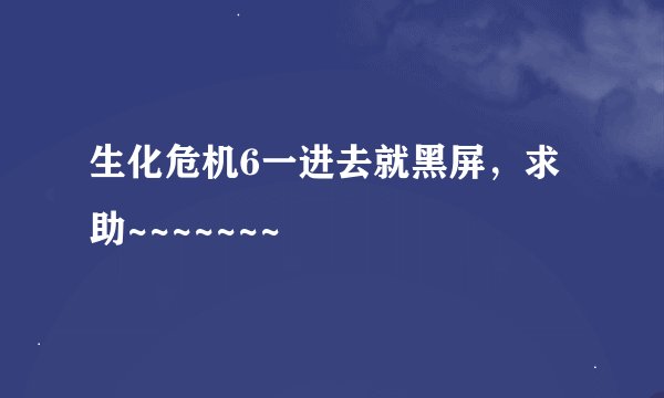 生化危机6一进去就黑屏，求助~~~~~~~