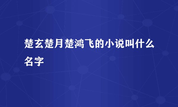 楚玄楚月楚鸿飞的小说叫什么名字