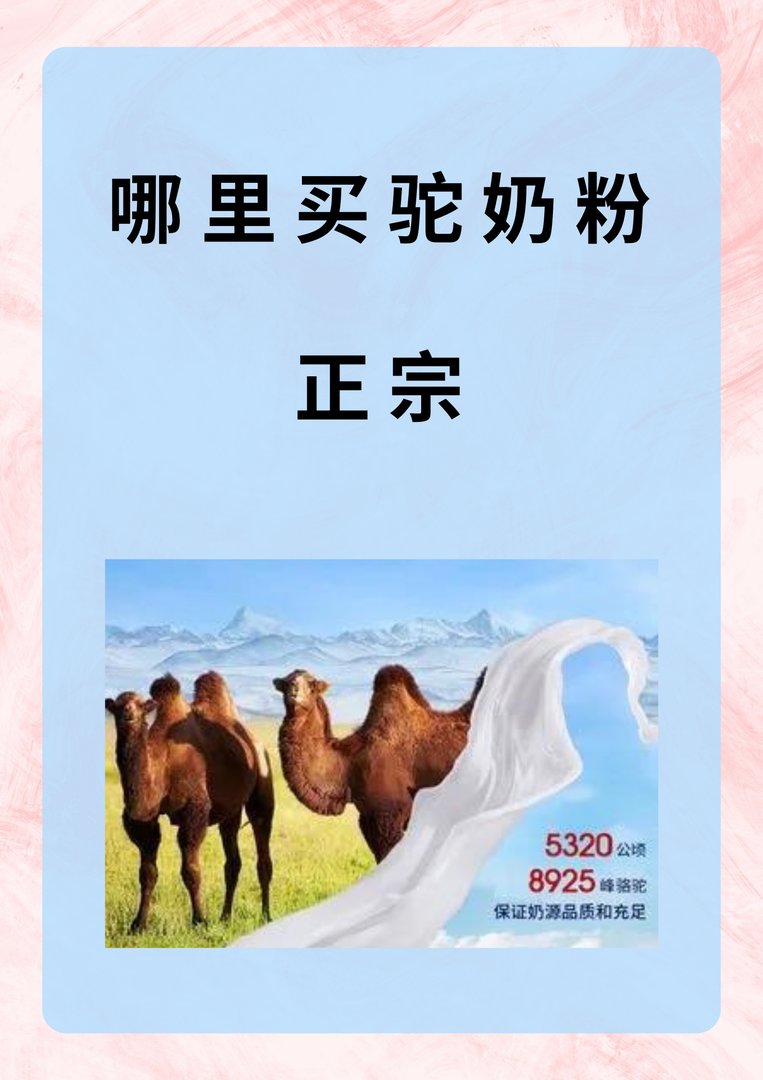 哪里买驼奶粉正宗