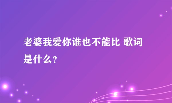 老婆我爱你谁也不能比 歌词是什么？