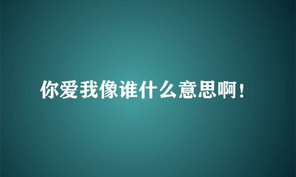 你爱我像谁什么意思啊！