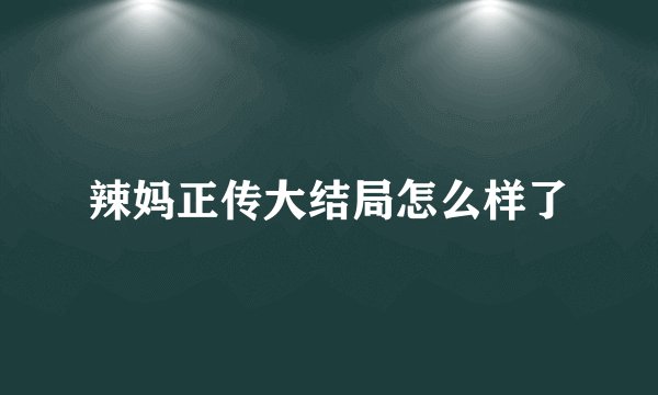 辣妈正传大结局怎么样了