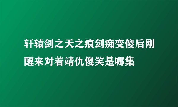 轩辕剑之天之痕剑痴变傻后刚醒来对着靖仇傻笑是哪集