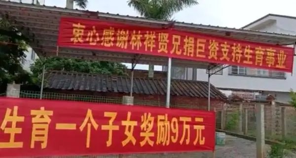 广东一村公告生育补贴，每生1个小孩资助9万元，你觉得这样的政策实用吗？