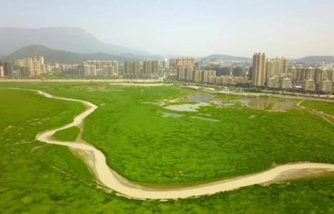 受连续高温影响，鄱阳湖河床变草原，当地人开车飞驰，这样真的好吗？