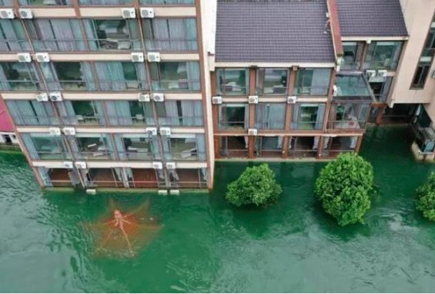 房子被洪水冲倒了，国家会赔偿吗？